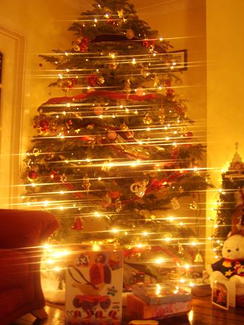 Name:  xmastree.jpg
Views: 1486
Size:  41.2 KB